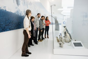 Visites flash surprises à l'espace des Mondes polaires
