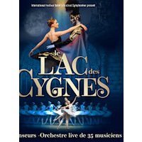 Le lac des cygnes