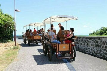 Visite guidée du centre-ville historique de Saint-Benoît en calèche