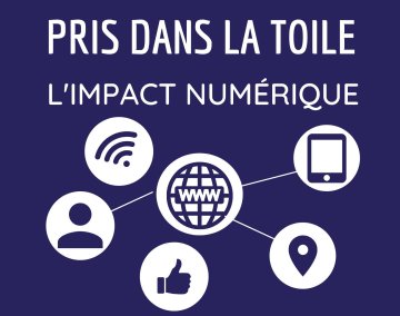 Pris dans la toile