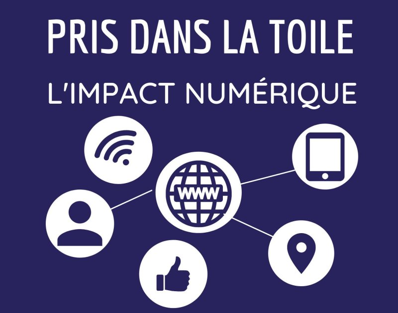 Pris dans la toile