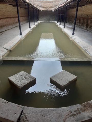 Visite du lavoir de Dannemoine