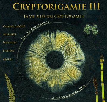 CryptORIgamie 3 / Ateliers - Visites