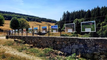 Exposition : "Voyage au cœur des prairies naturelles du Massif central"