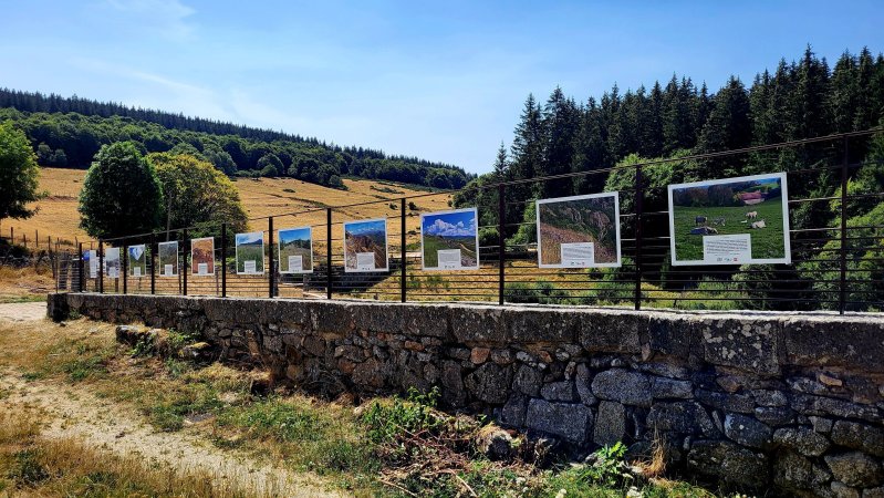 Exposition : "Voyage au cœur des prairies naturelles du Massif central"