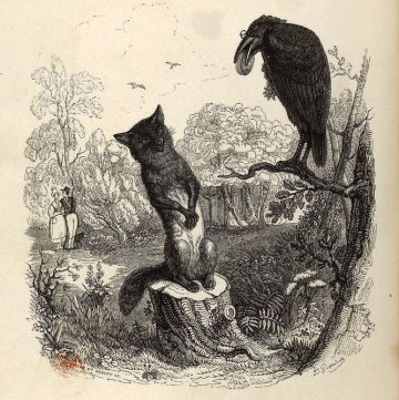"Les corbeaux au sommet de l’intelligence et du comportement animal, pourquoi  ?"