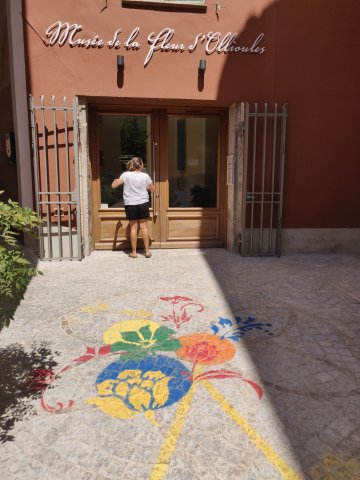 Visite guidée du Musée de la fleur d'Ollioules