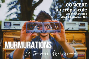 Concert au crépuscule "MURMURATIONS" - La tournée des oiseaux