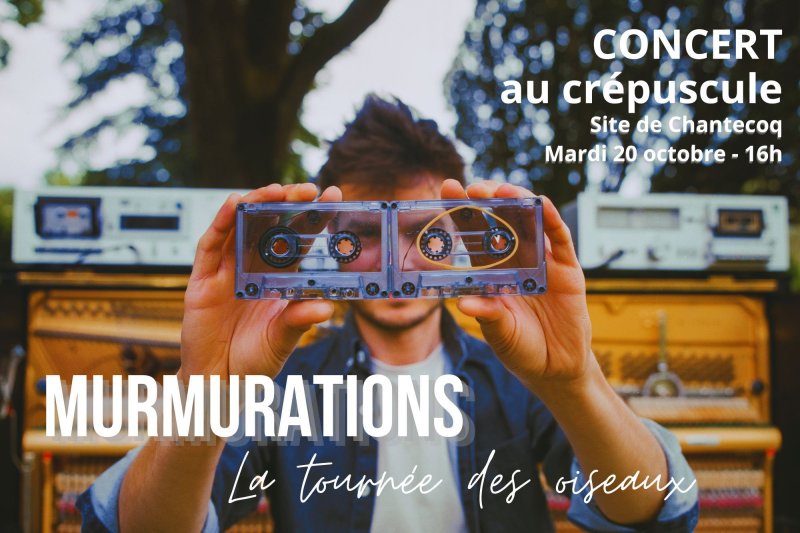 Concert au crépuscule "MURMURATIONS" - La tournée des oiseaux
