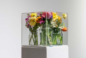 Visite commentée "Twilight zone" de l'exposition "Pollen"