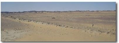 La glaciation ordovicienne du Gondwana
