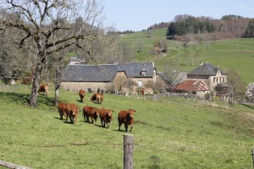 Circuit : à la découverte du patrimoine agricole de Saint-Hilaire-Taurieux
