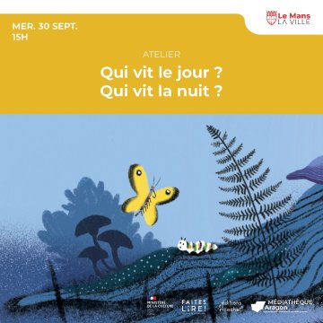 Qui vit le jour ? Qui vit la nuit ?