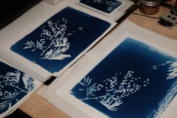 Atelier cyanotype