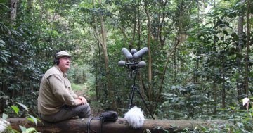Écouter les aubes du monde