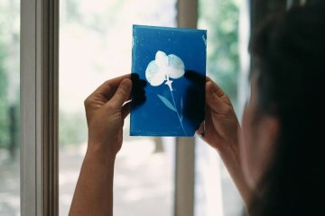 Initation au cyanotype sur verre