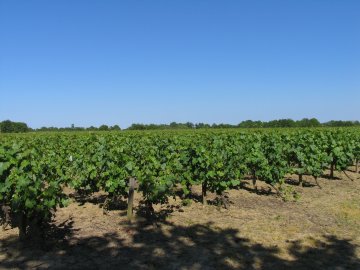 Découverte des patrimoines de la Limouzinière