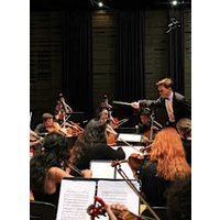 Chambre symphonique - j. sevilla fraysse