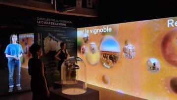 Visite Immersive de La Tour du Pouilly Fumé