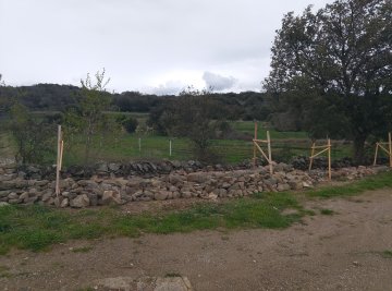 Visite guidée du Prieuré de Marcevol
