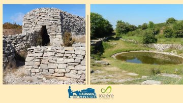 Exposition : Lavognes et Cazelles
