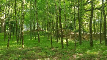 Une soirée à la Celle grandmontaine du Cluzeau à Meuzac