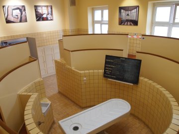 Le patrimoine de l'institut d'anatomie pathologique