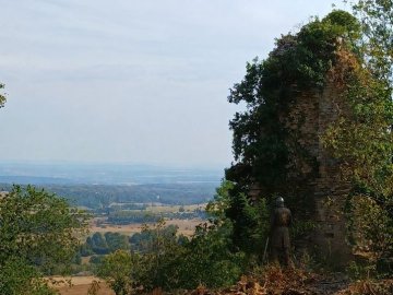 Visite commentée du site des ruines du château médiéval d'Oiselay