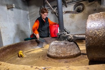 Visite guidée du Moulin Pion-Vignon