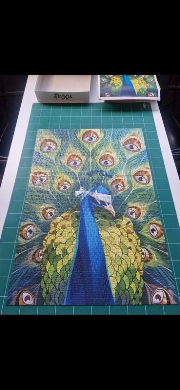 9 bibliothèques, un puzzle, un concours !