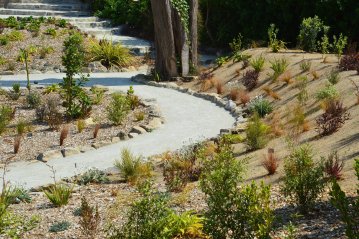 Visite du Jardin Georges Delaselle