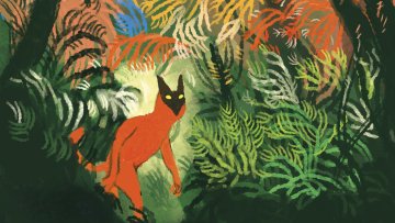 Panno'Kids – Dans la jungle