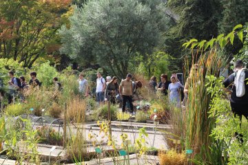 Visite libre - Le Jardin botanique, un patrimoine vivant