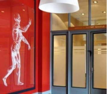 Les collections de l’Institut d’anatomie normale