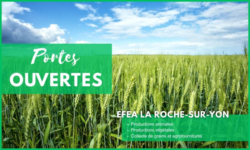Journées Portes Ouvertes EFEA 2026-2027 - Découvrez les formations agricoles en Pays de la Loire (85)