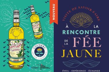 Visite  "À la rencontre de la Fée Jaune"
