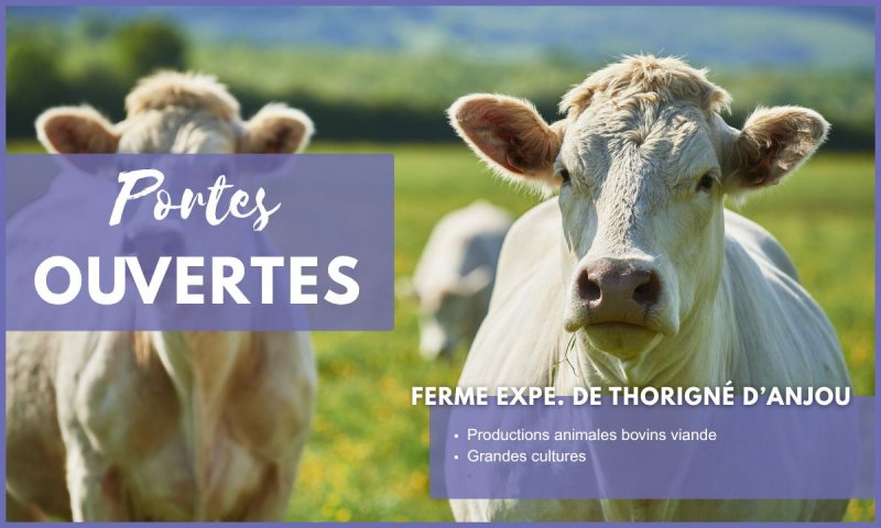 Journées Portes Ouvertes EFEA 2026-2027 - Découvrez les formations agricoles en Pays de la Loire (49)
