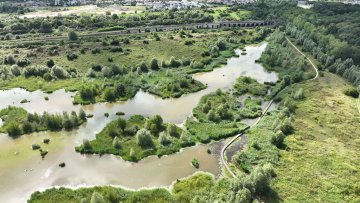 Visite guidée du bassin de la Motte