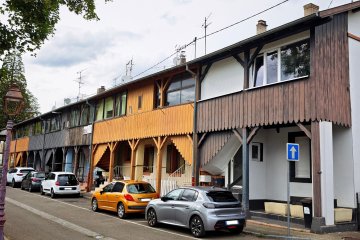 Préservons le bois dans nos rues