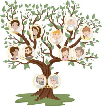 La généalogie en ligne
