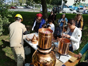 Distillation des rosiers de Damas