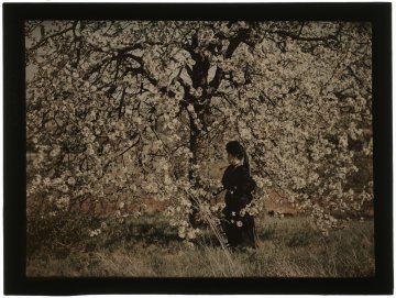 Visite flash « Les autochromes de Julien Gérardin »