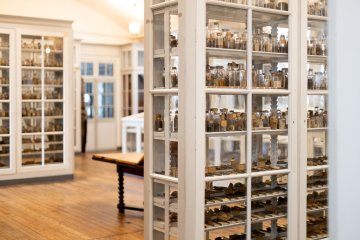Visites guidées de la bibliothèque et des collections