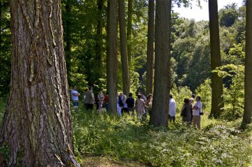 Les Arbres Fabuleux : promenade découverte dans le parc du Prieuré