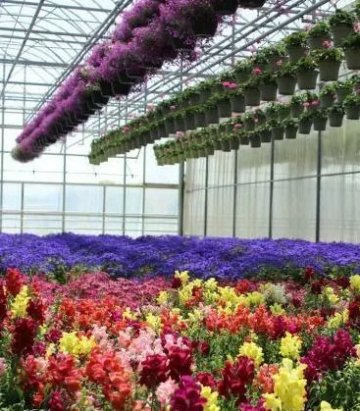Visite guidée de l'exploitation horticole Valbray