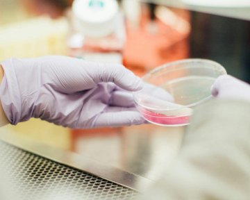 Des cellules pour réparer le corps