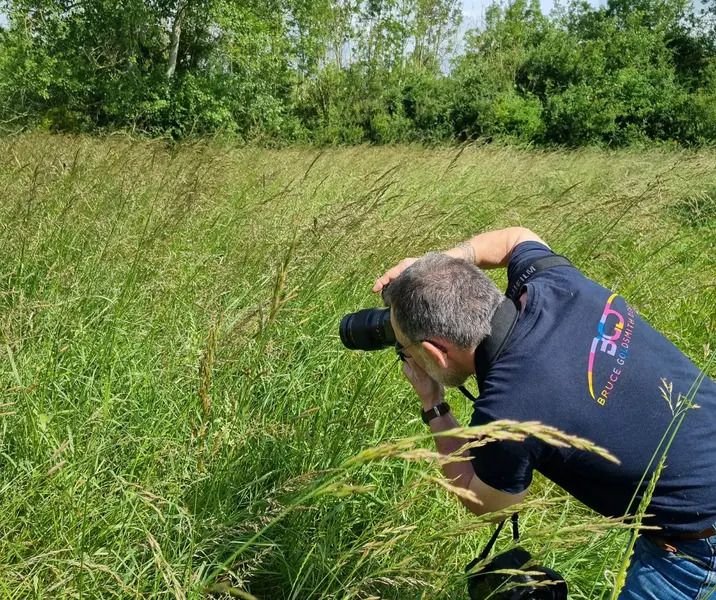 Initiation à la photo animalière dans une réserve naturelle