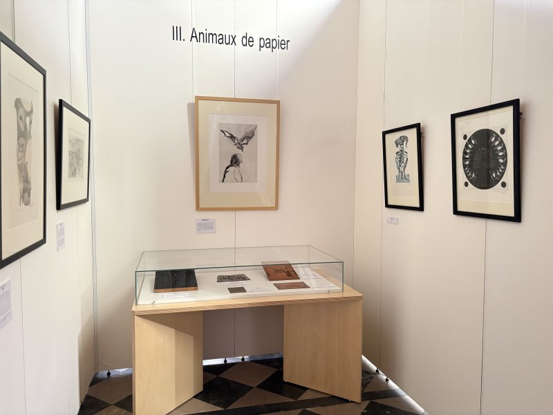Visite flash de l'exposition Estampes du XXe siècle - Collections de la Ville d'Abbeville