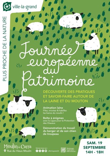 pratiques et savoir-faire autour de la laine de mouton