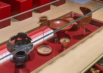 Visite du musée et du  site archéologique